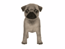 emoji_26