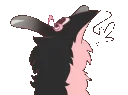 NohrWormTalk