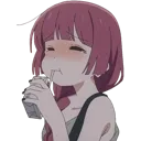 KikuriSip