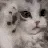 pawswave