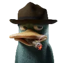 perry