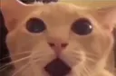 Shocked