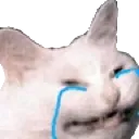 catcry