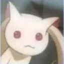 no