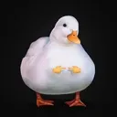 shyduck