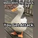 Dontmesswiththequack