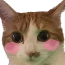nalaFlushed