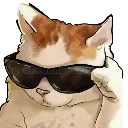 CoolCat