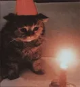 SadCat