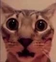 Shocked