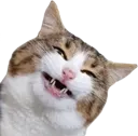 Catsmile2 catSmile2 Discord Emoji