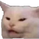 What Cat what_cat Discord Emoji