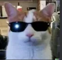 DistinguisedGentleman DistinguisedGentleman