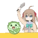 cabbage cabbage