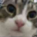 d9_kya Discord emoji