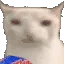 KMT_CatMunch