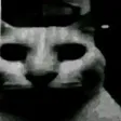 katzeHorror