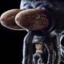 Squidgoon