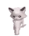 rofacatrofa