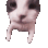 catKiss Discord Emoji
