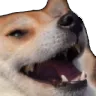 dogekek