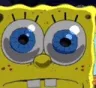 SPONGEWHAT