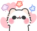 happycat