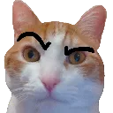 SusMuz
