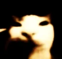 binkle_husk