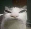 binkle_mad