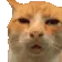 HUH