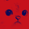 coktirstim Discord emoji