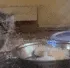 ManuelViolence