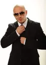 pitbull3