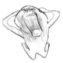 white_dyellinginagony
