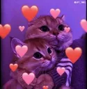 cosy_cathugs Discord Emoji
