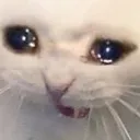 emoji_26