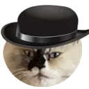 donation_marshastare