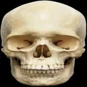 skullreaction skullreaction