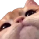 abe_oo