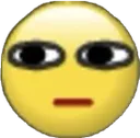 Y_erm