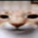 Angrycat angrycat Discord Emoji