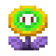 lightningflower