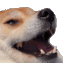 funnydoge Discord Emoji