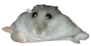 Help