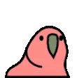 birdJAM