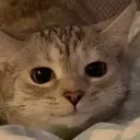 Smole Smole