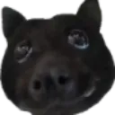 bata bata