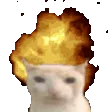 zeroniumCatexplosion