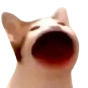 popcat Discord Emoji